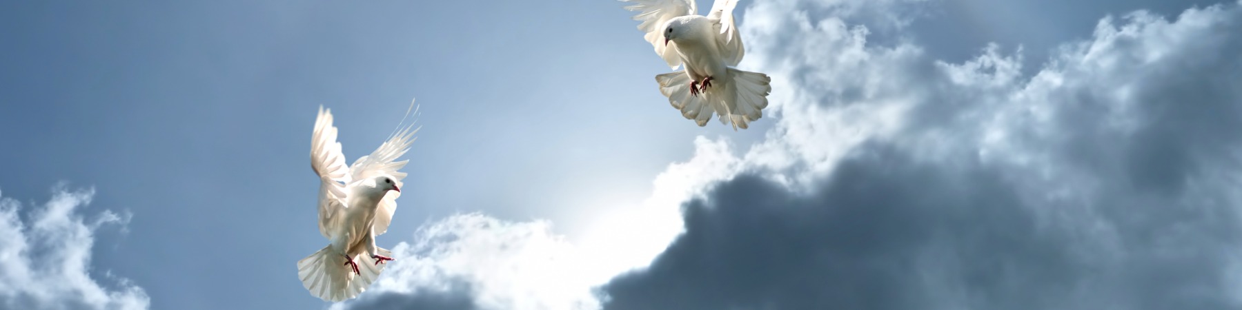 Perpetual care cemetery Jamestown ND