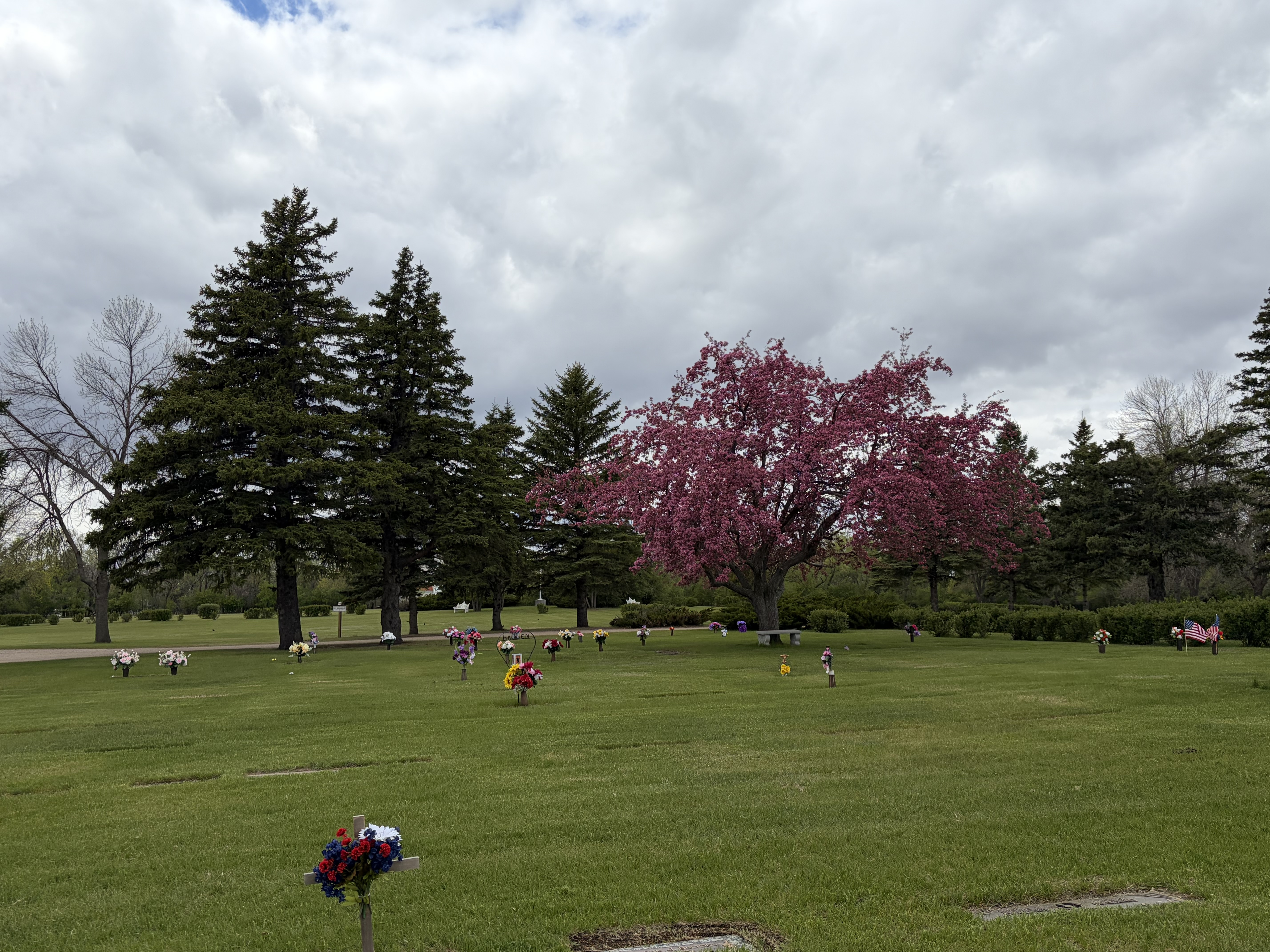 Peaceful Cemetery Setting Jamestown ND
