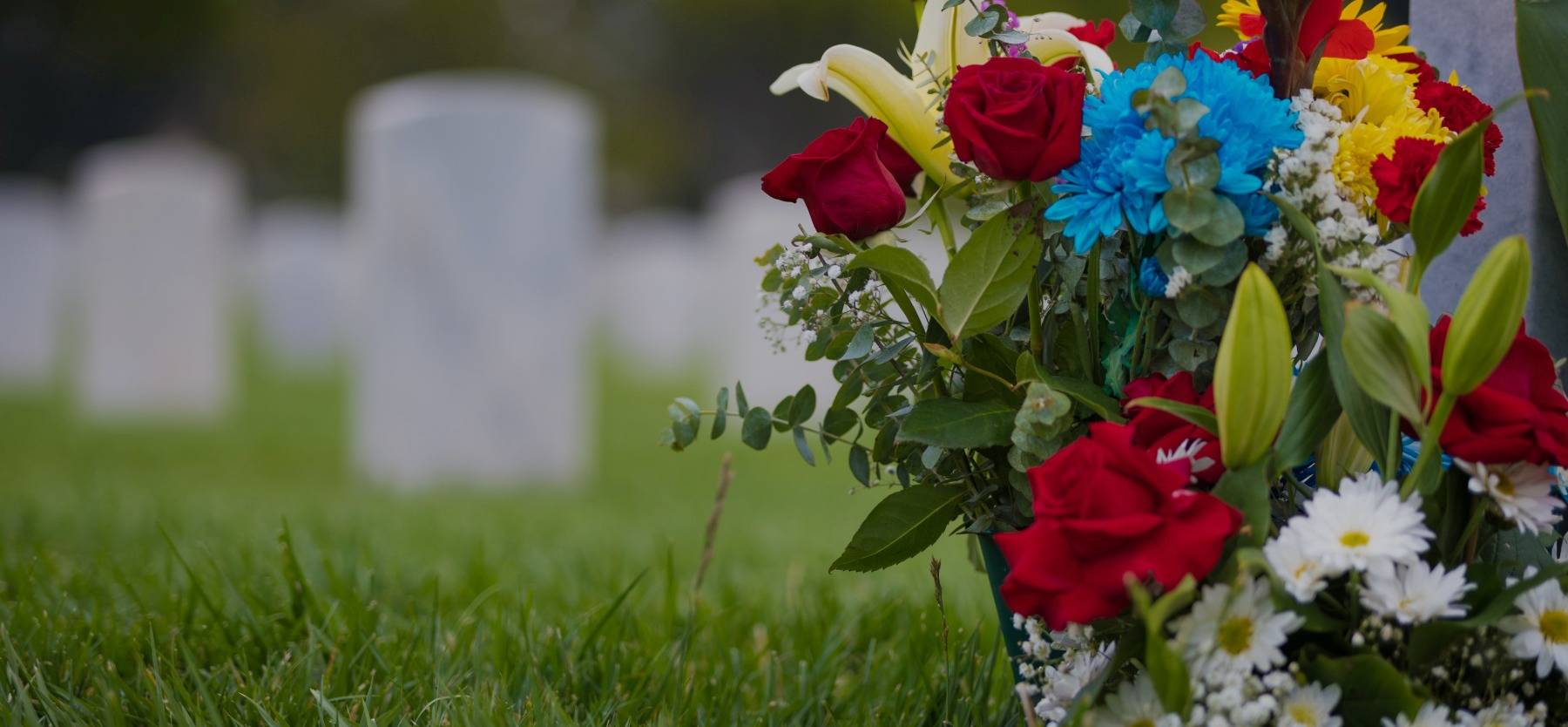 Home Page Header Image Three